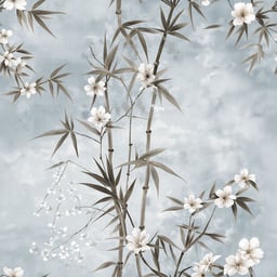 Image de 