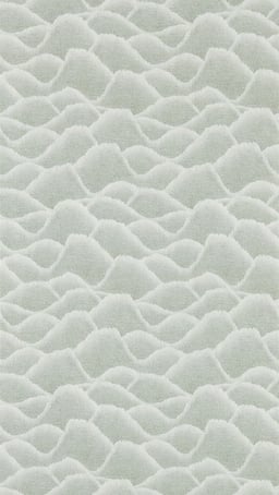 Image of 