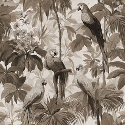 Image of 