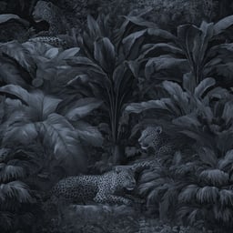 Image of 