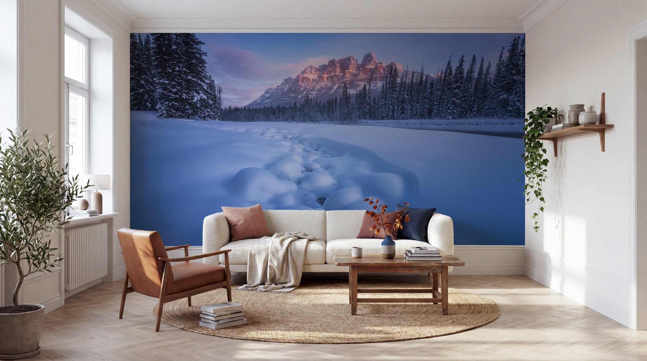 Immagine di 