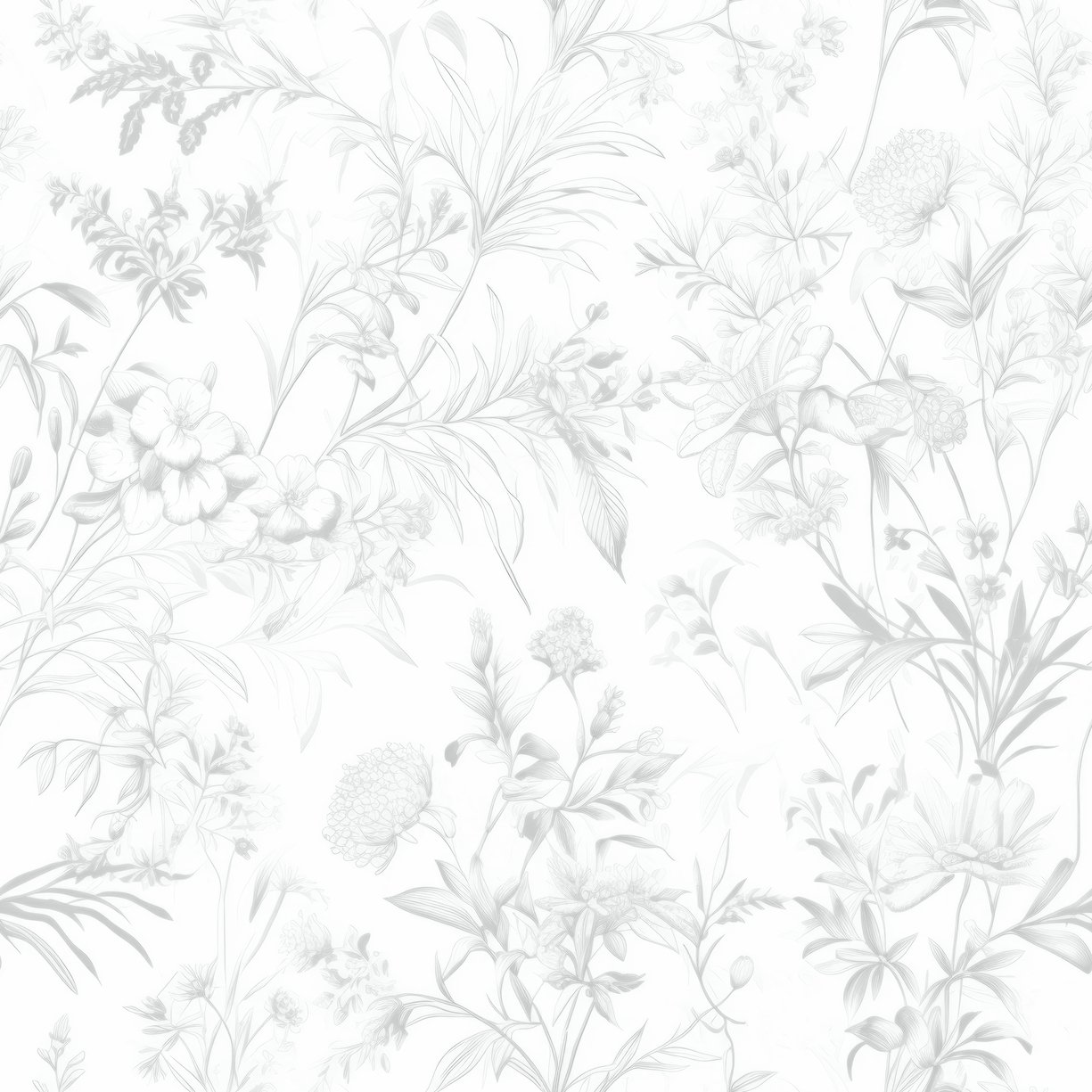 Image of 