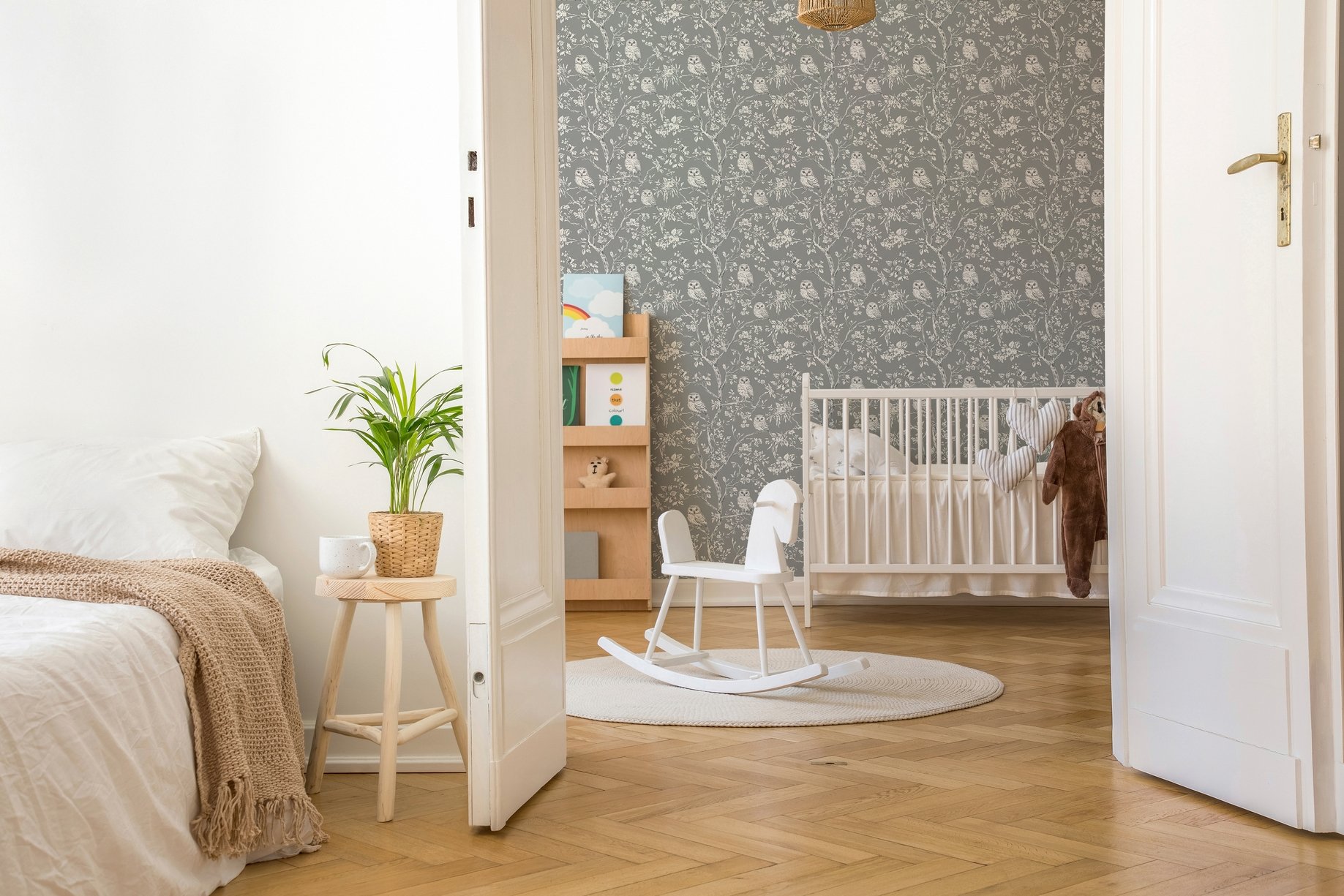 Immagine di 