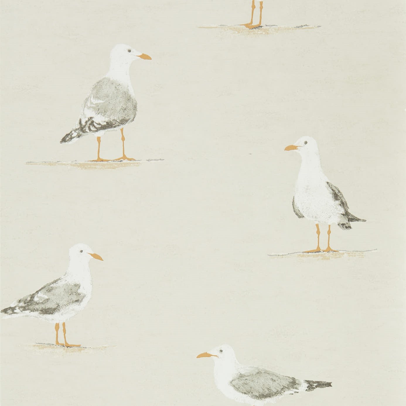 Image de 