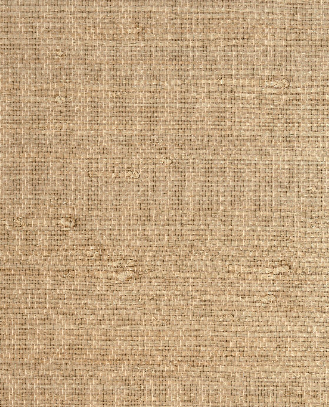 Image of 