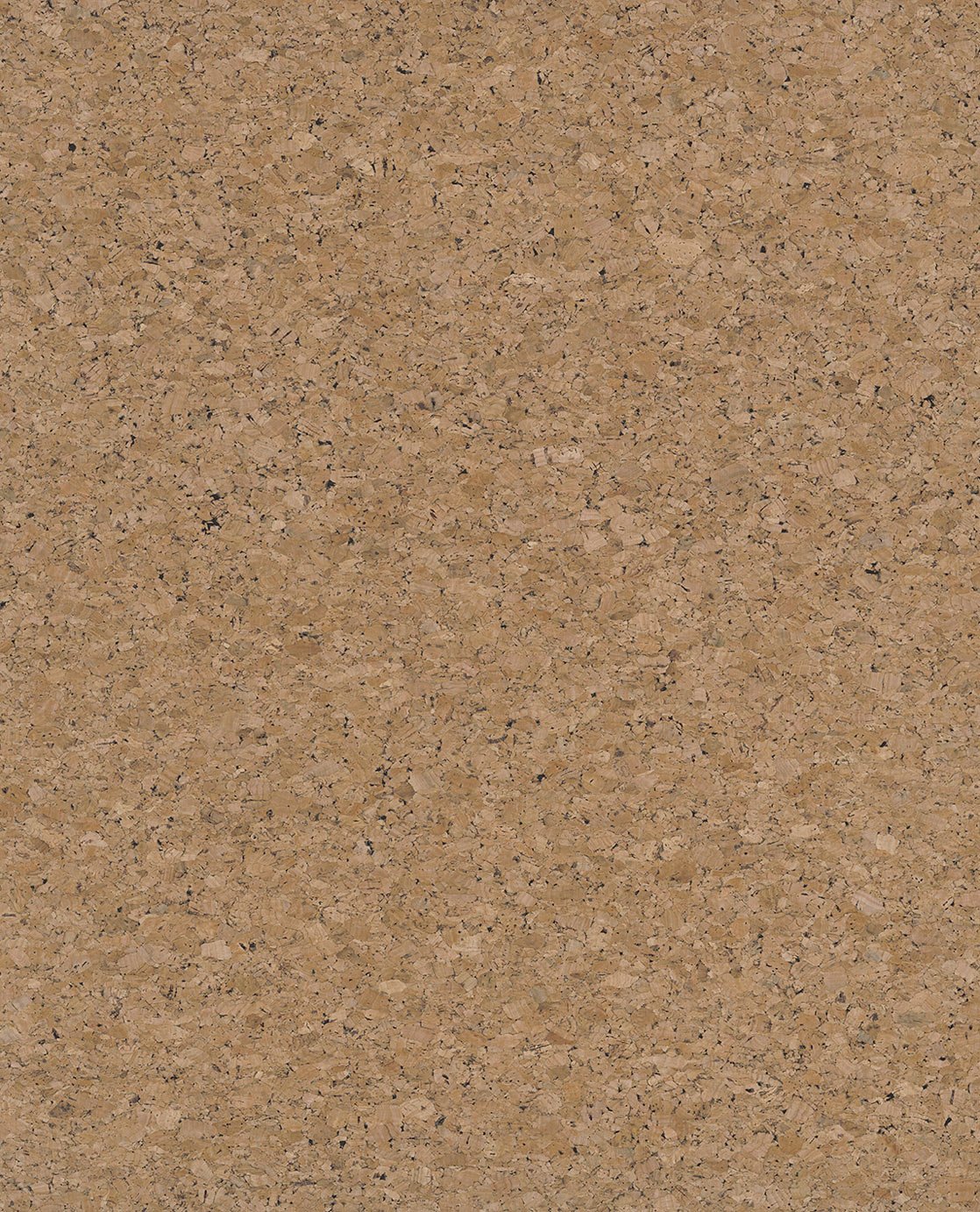 Image of 