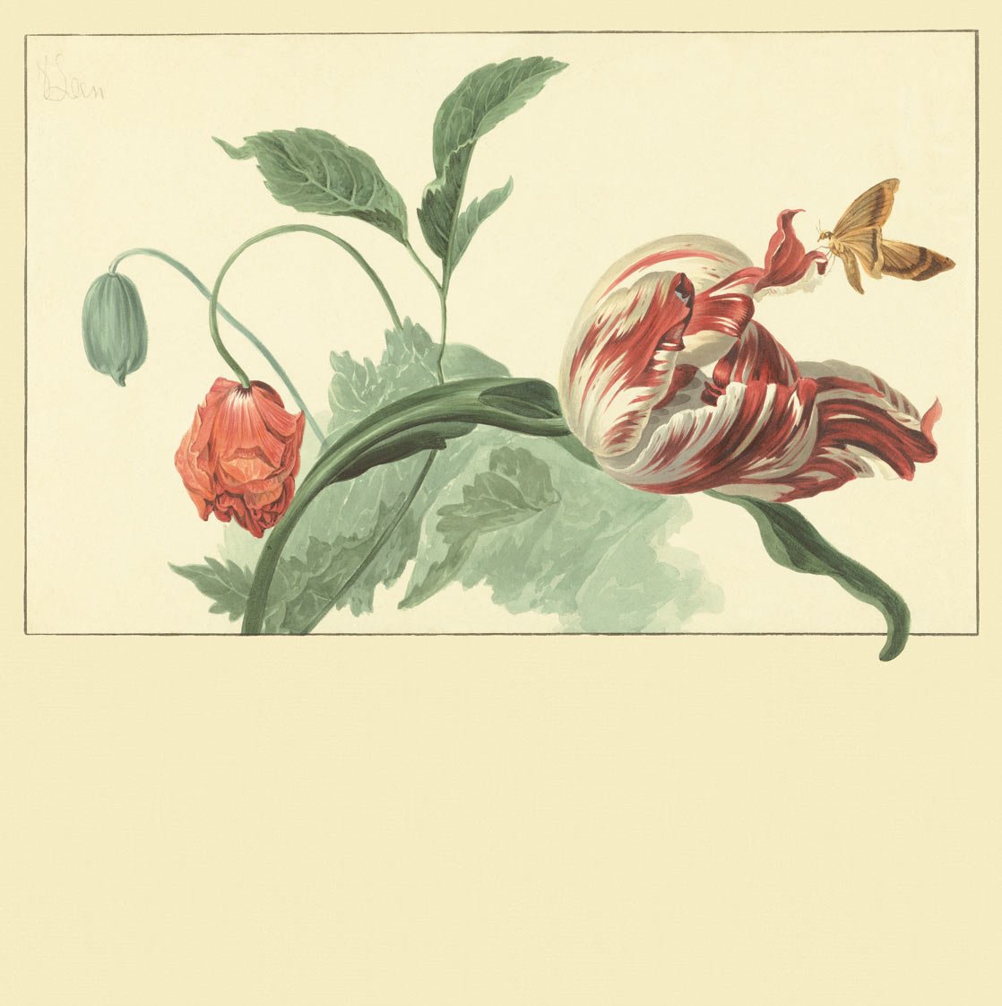 Image de 