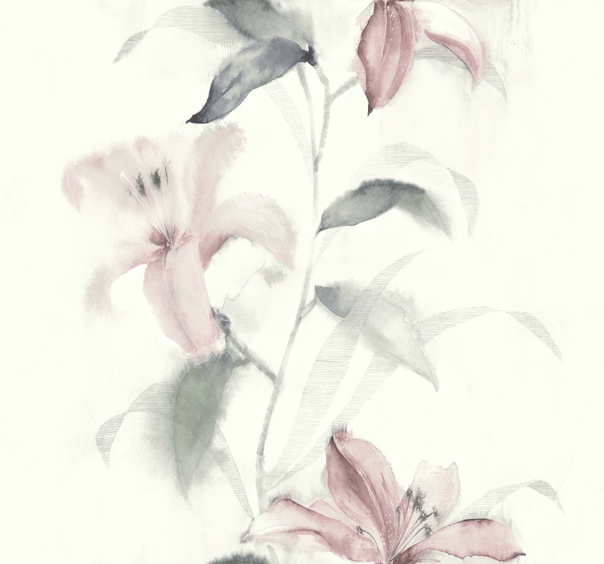 Image of 
