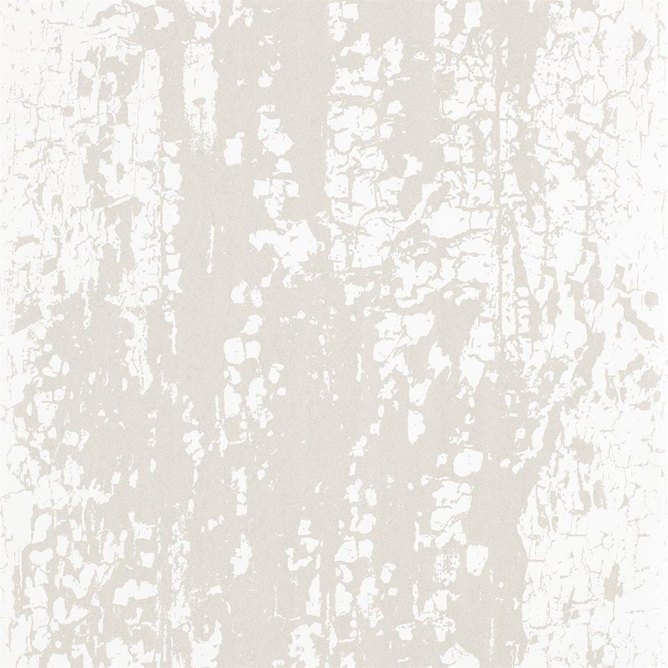 Image of 