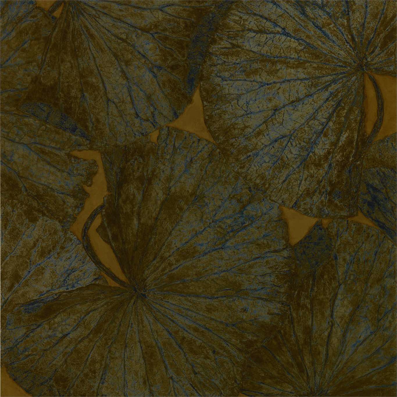 Image of 