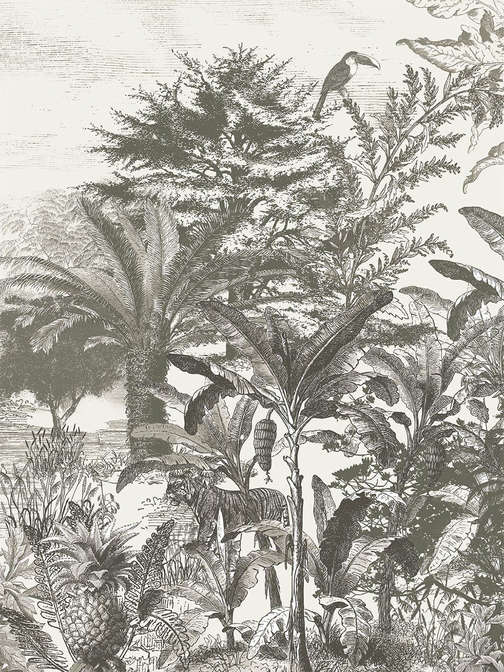 Image de 