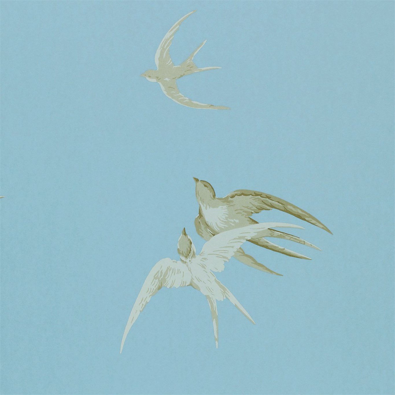Image of 