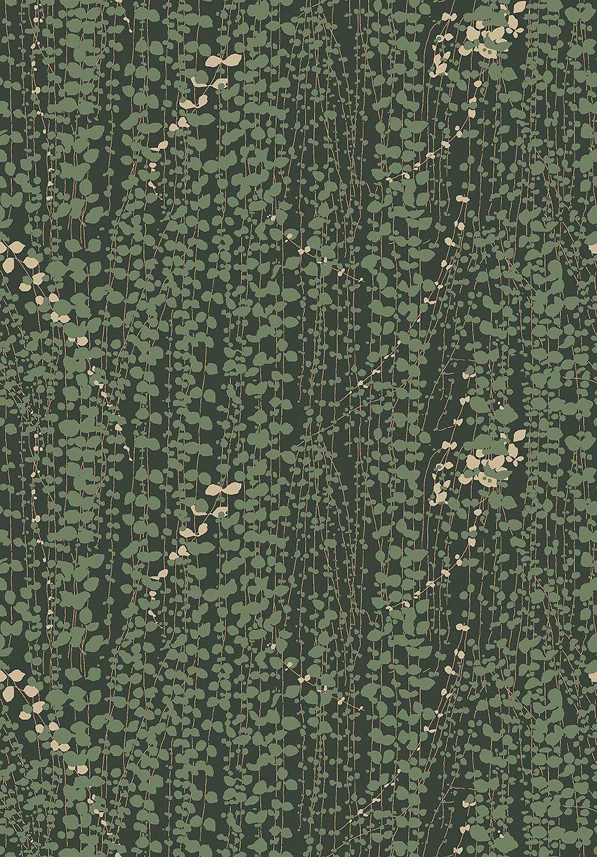Image of 
