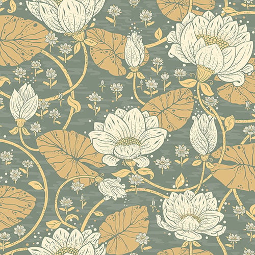 Image de 