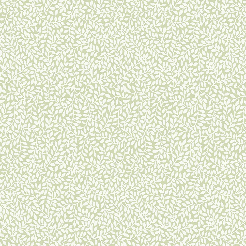 Image of 