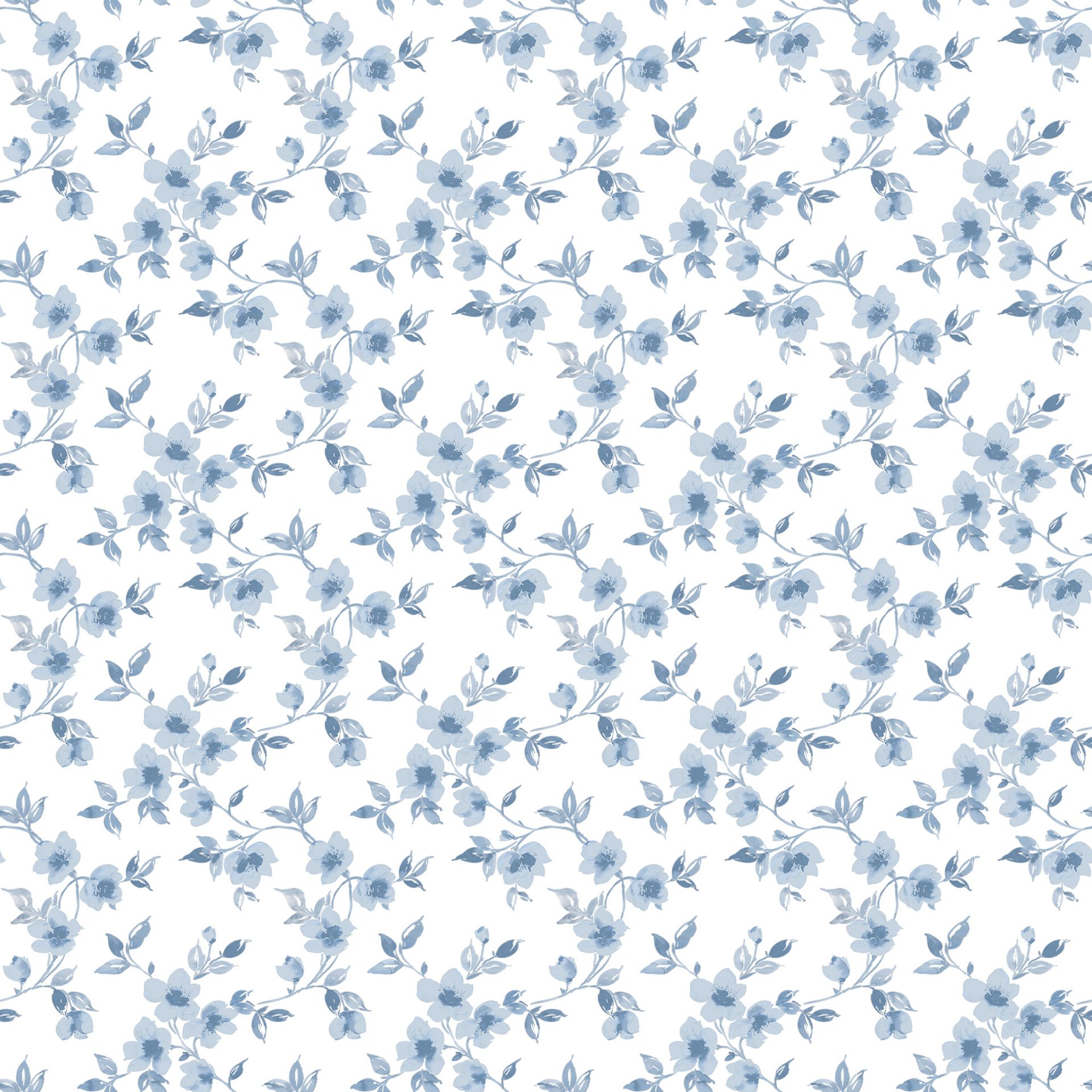 Image of 
