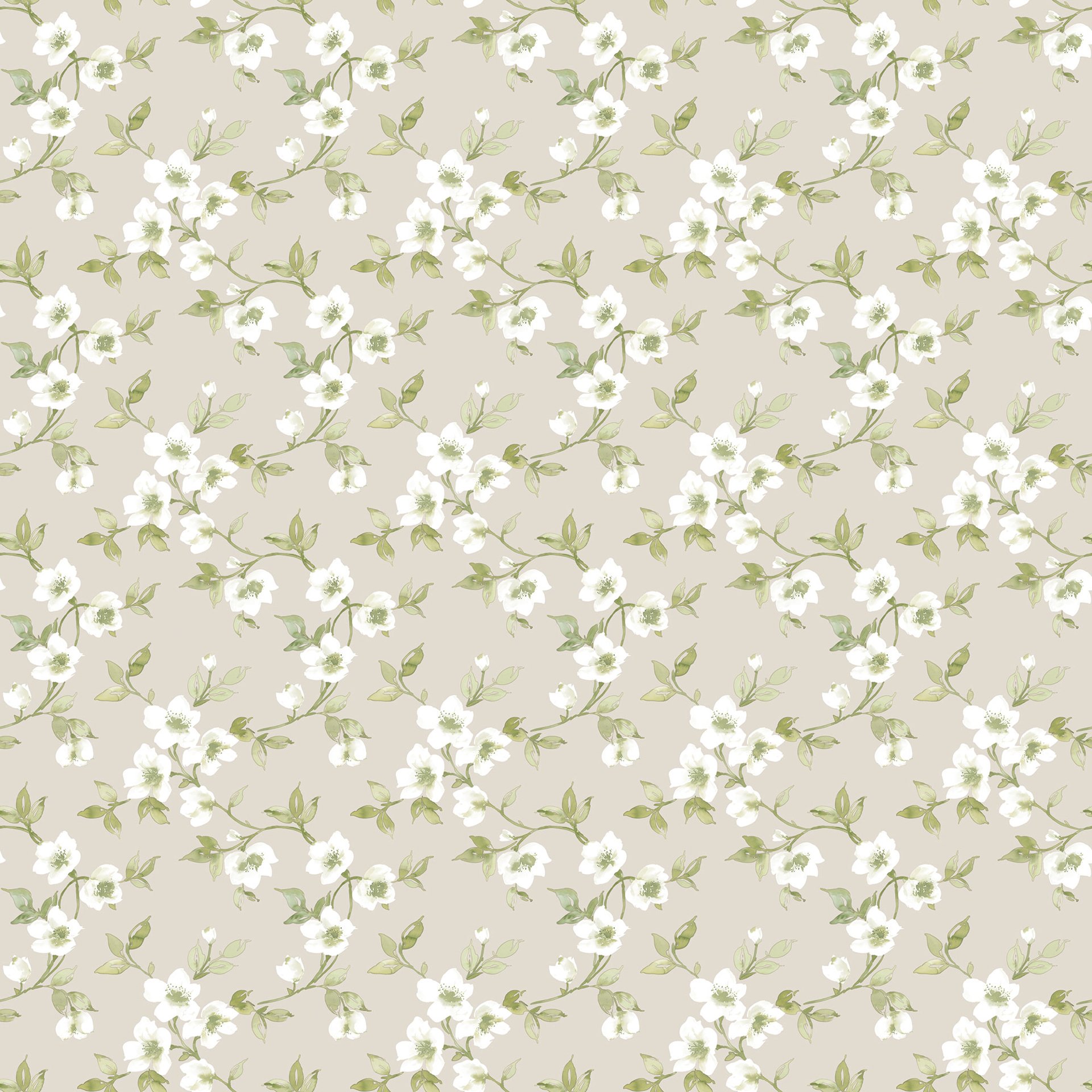 Image of 