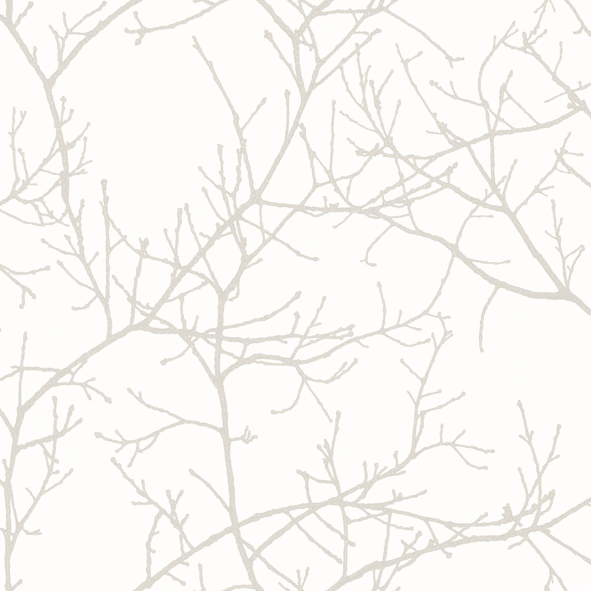 Image of 
