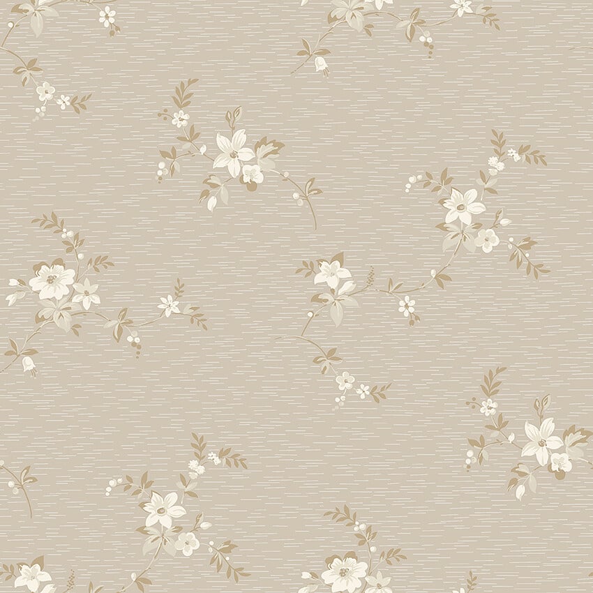 Image de 