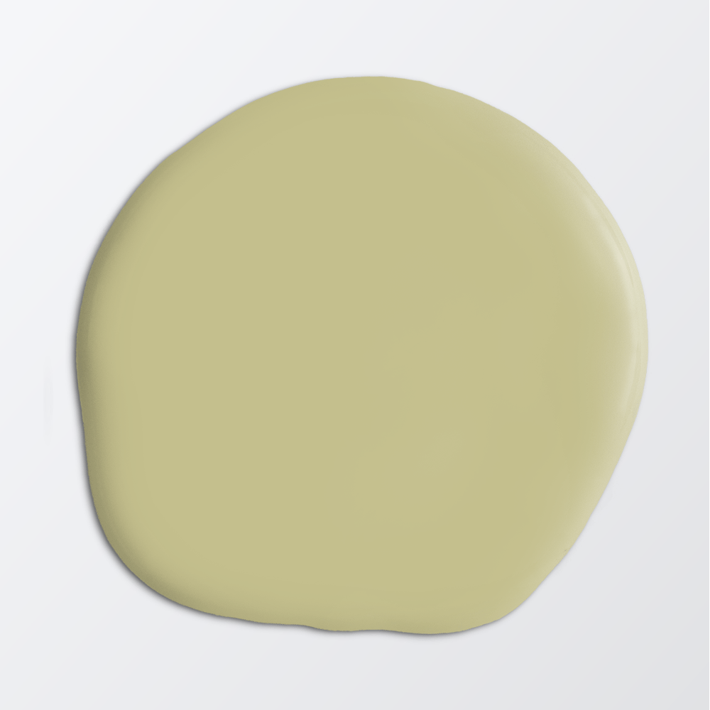 Image of 