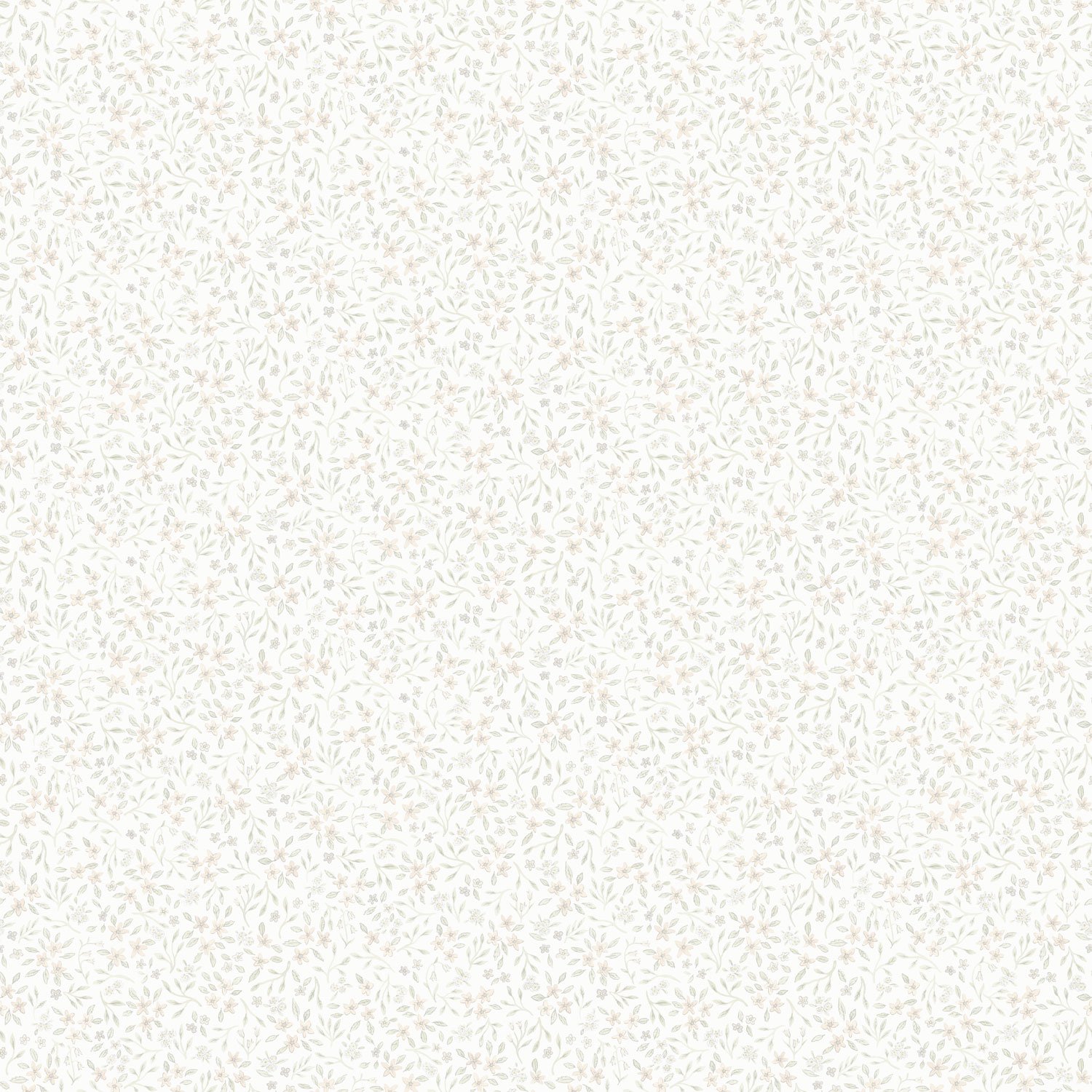 Image of 