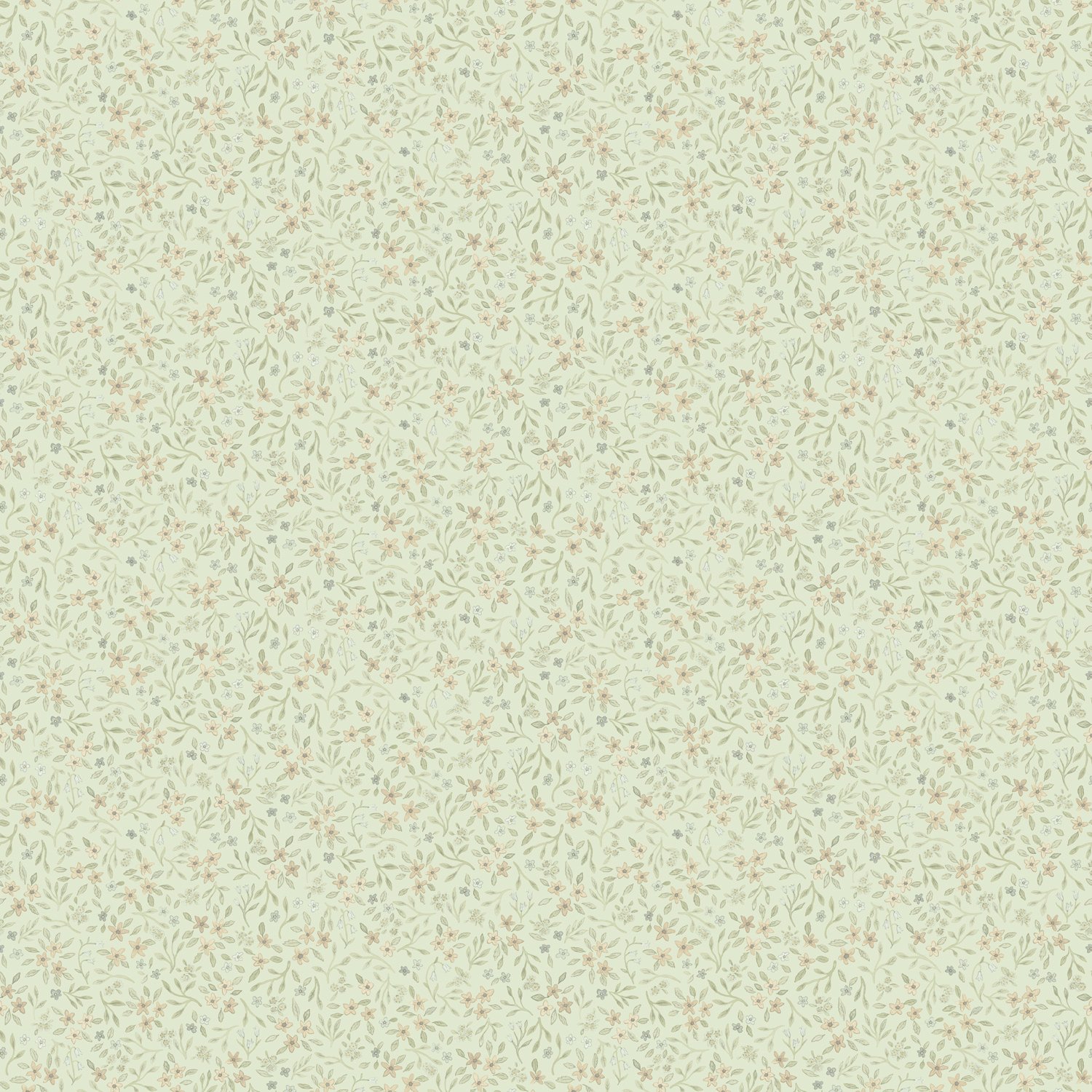 Image of 