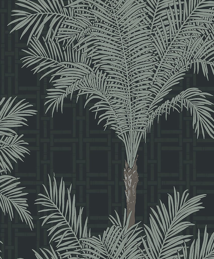Image of 