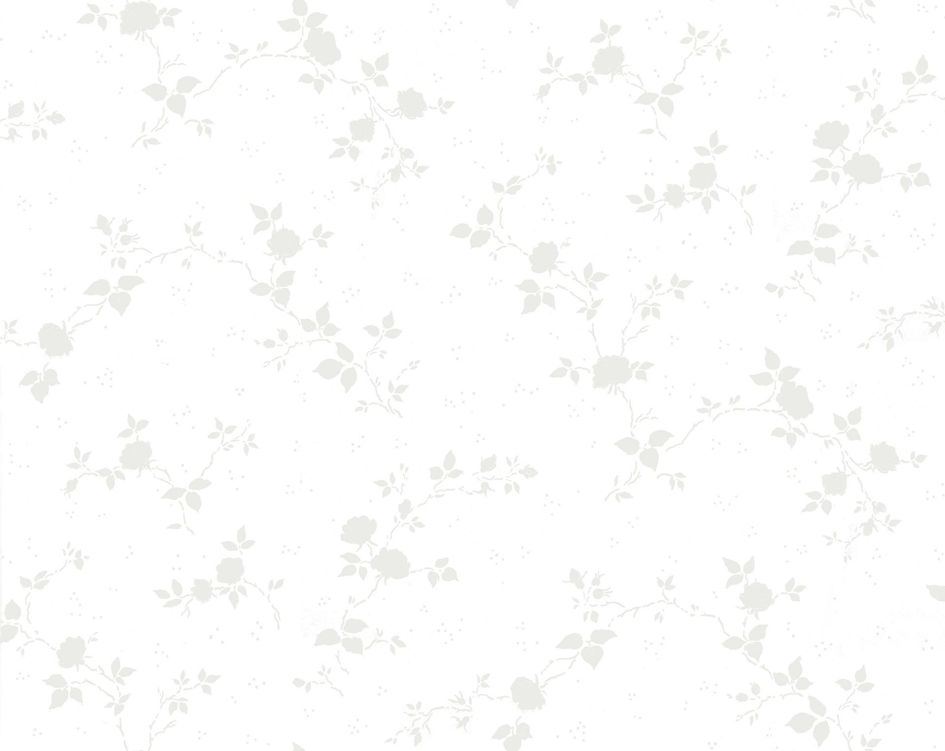 Image of 