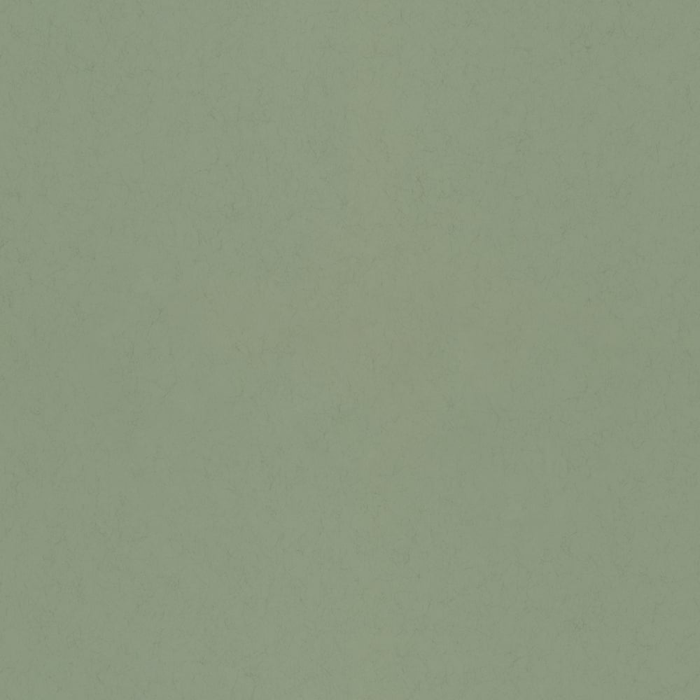 Image of 