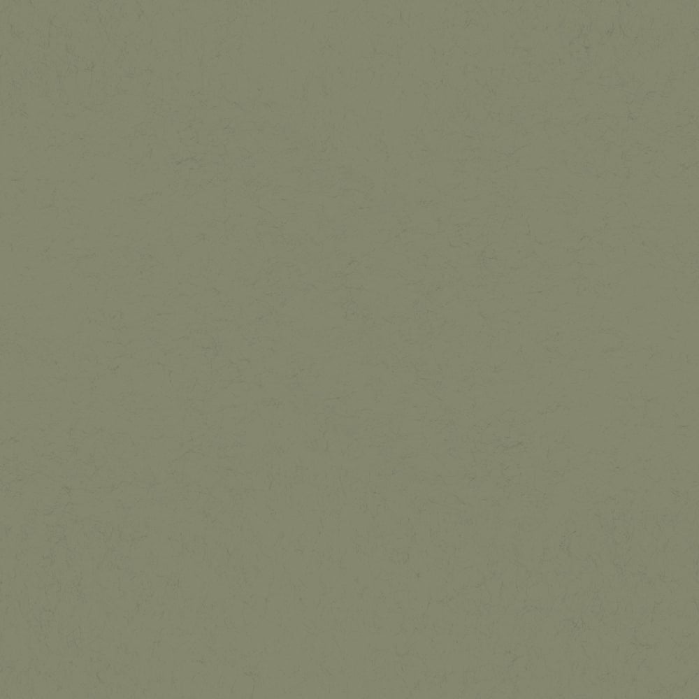 Image of 