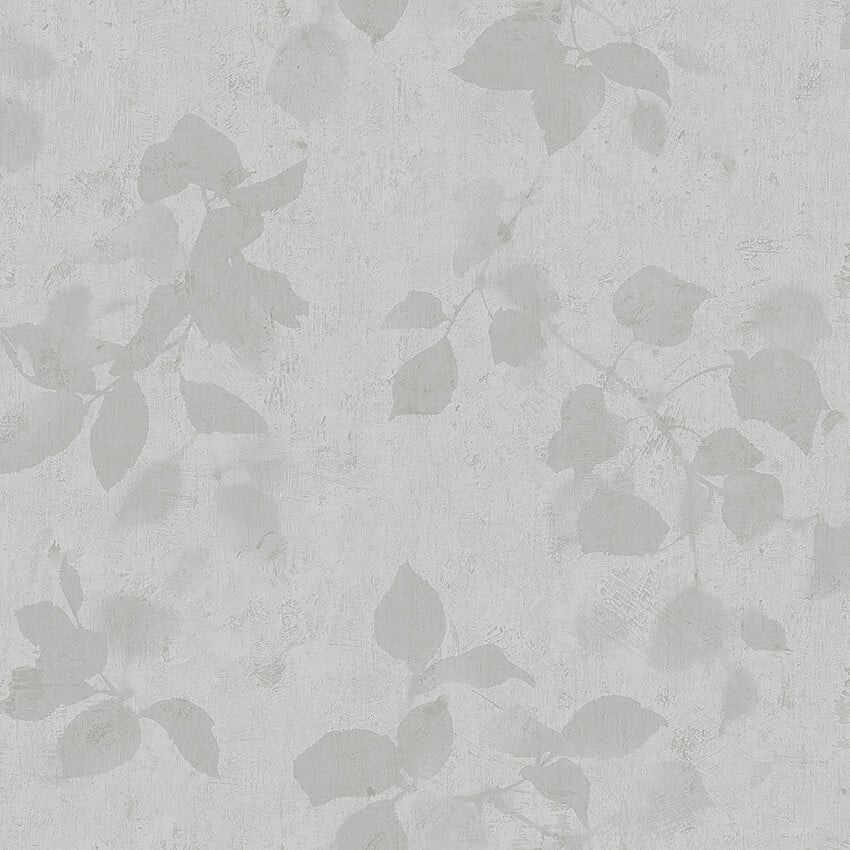 Image of 