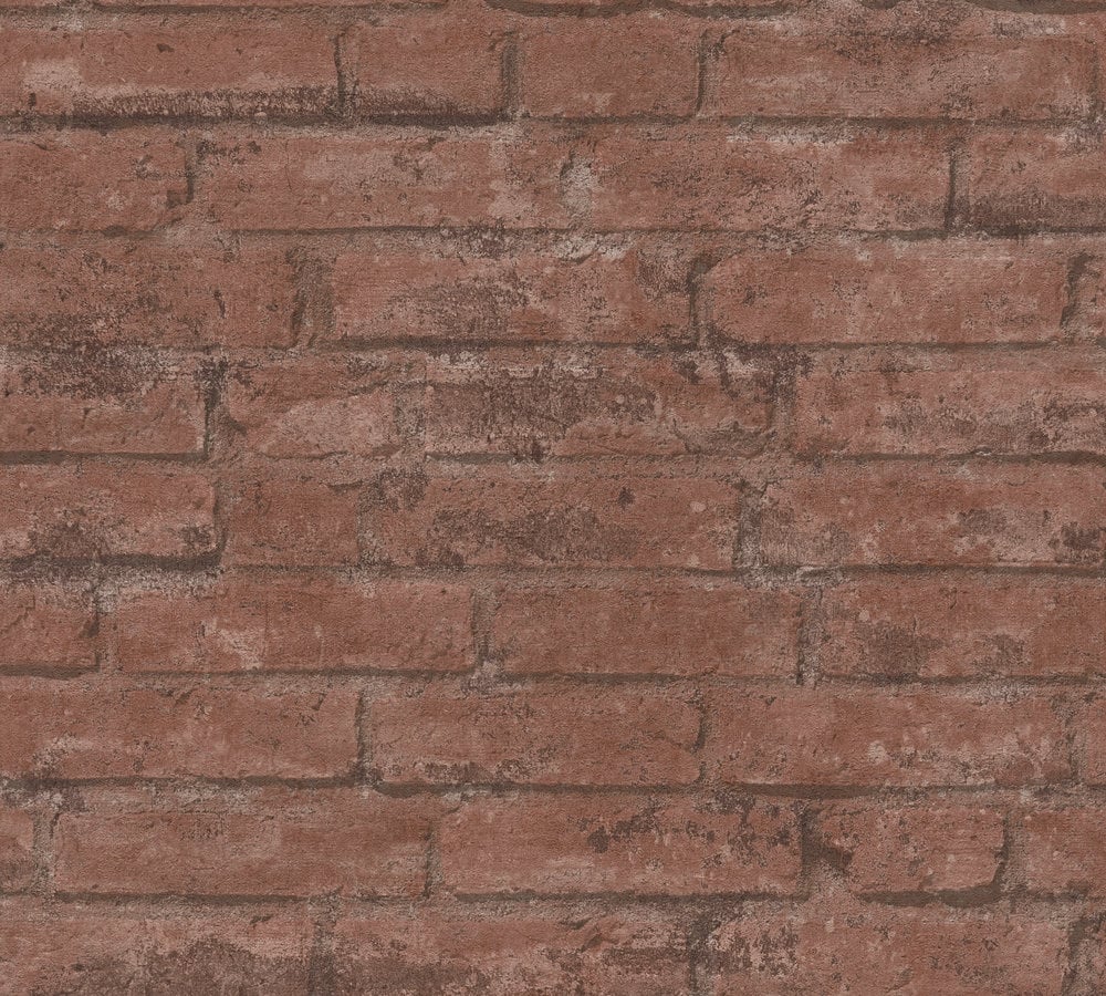 Image of 