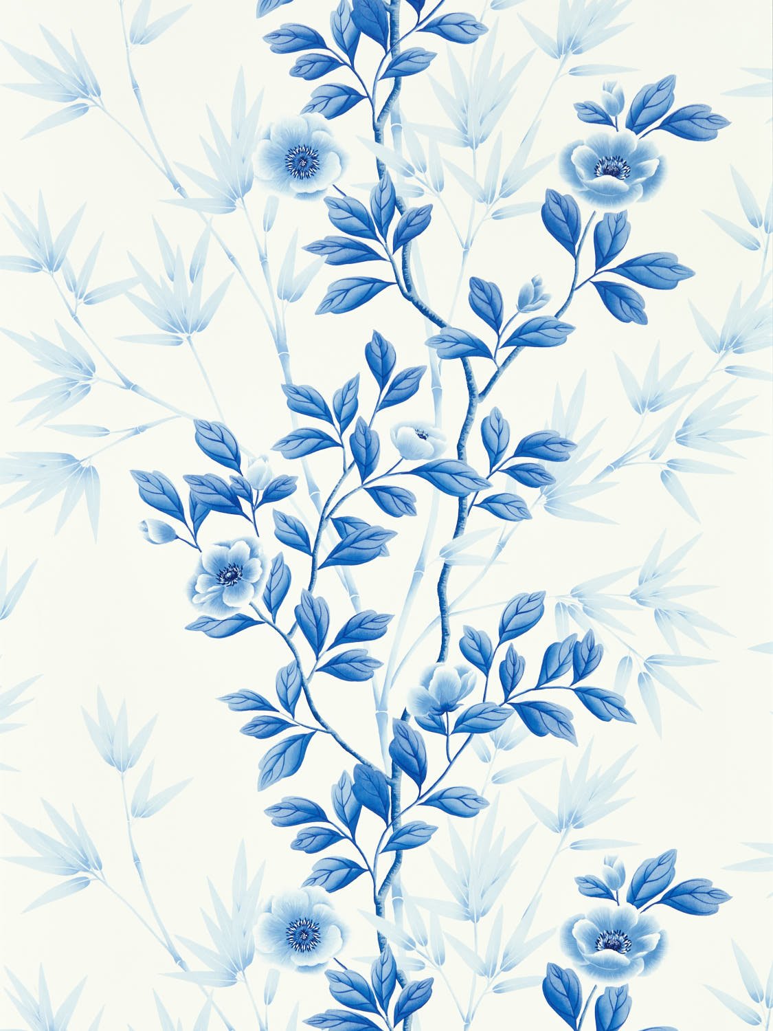 Image de 
