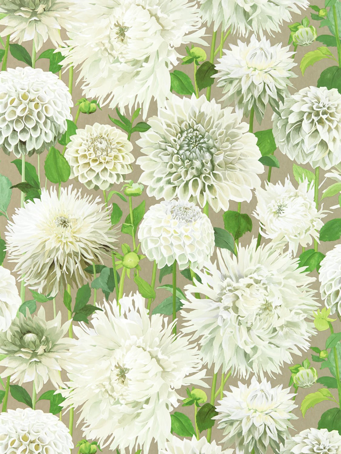 Image of 