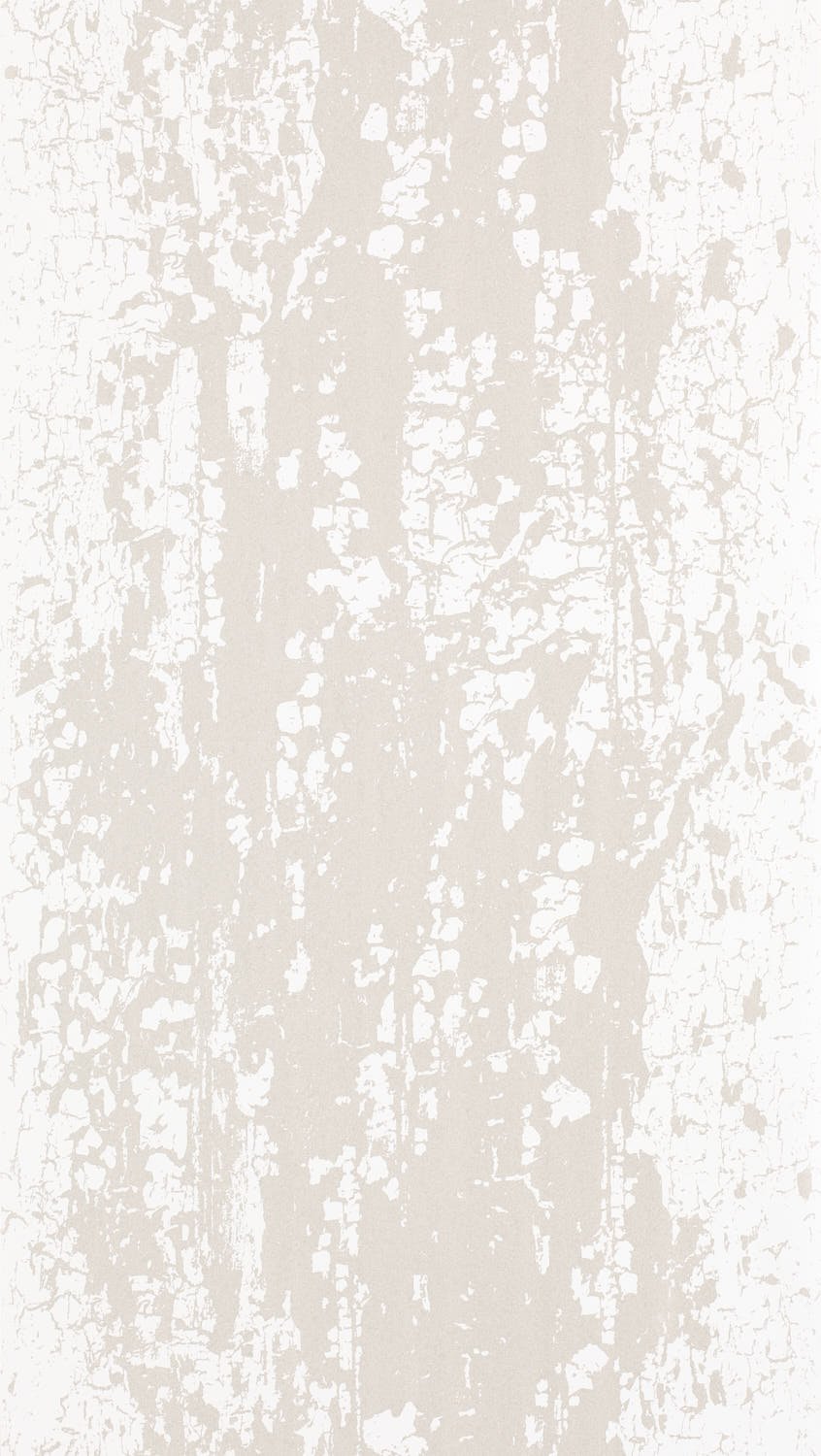 Image of 