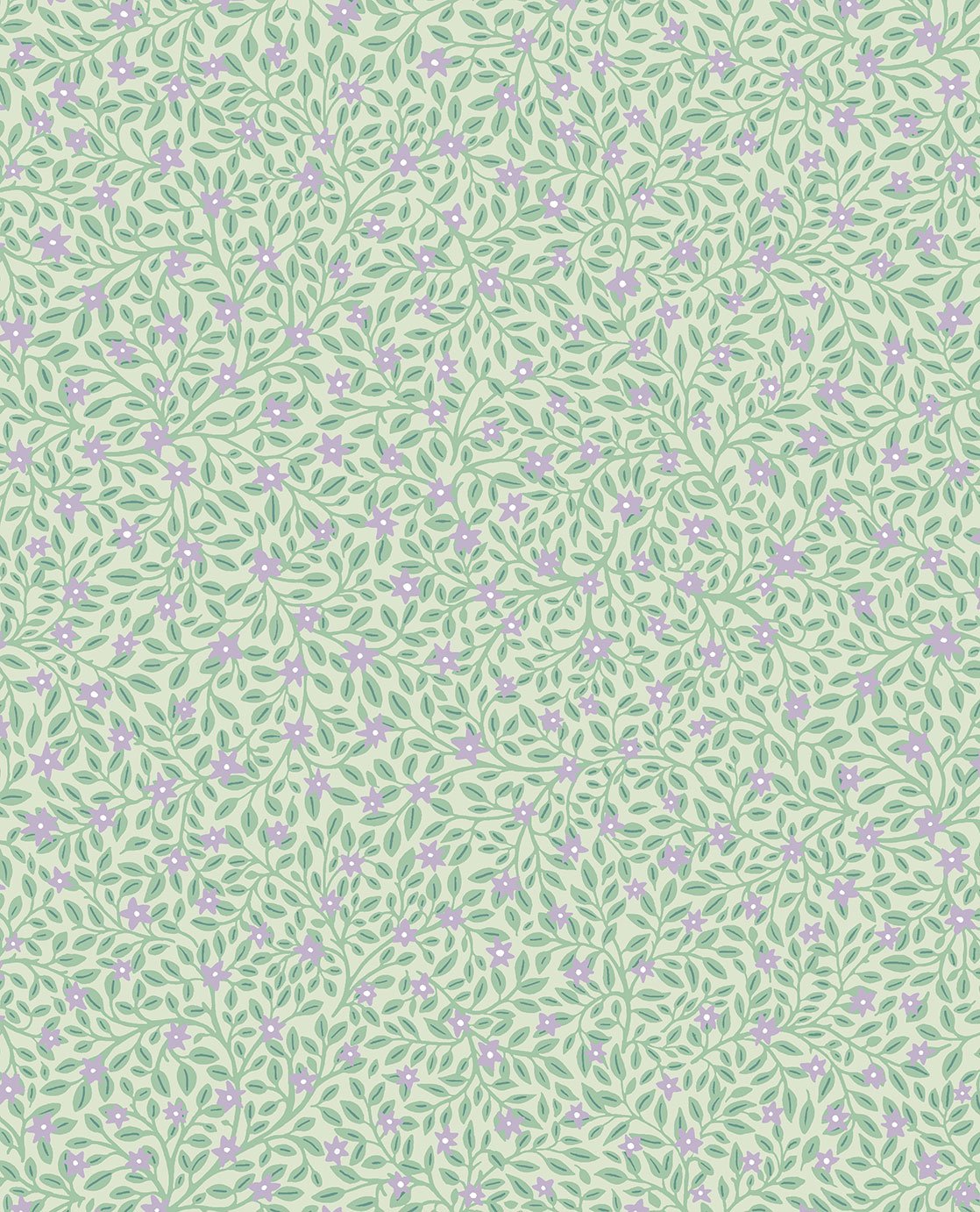 Image of 