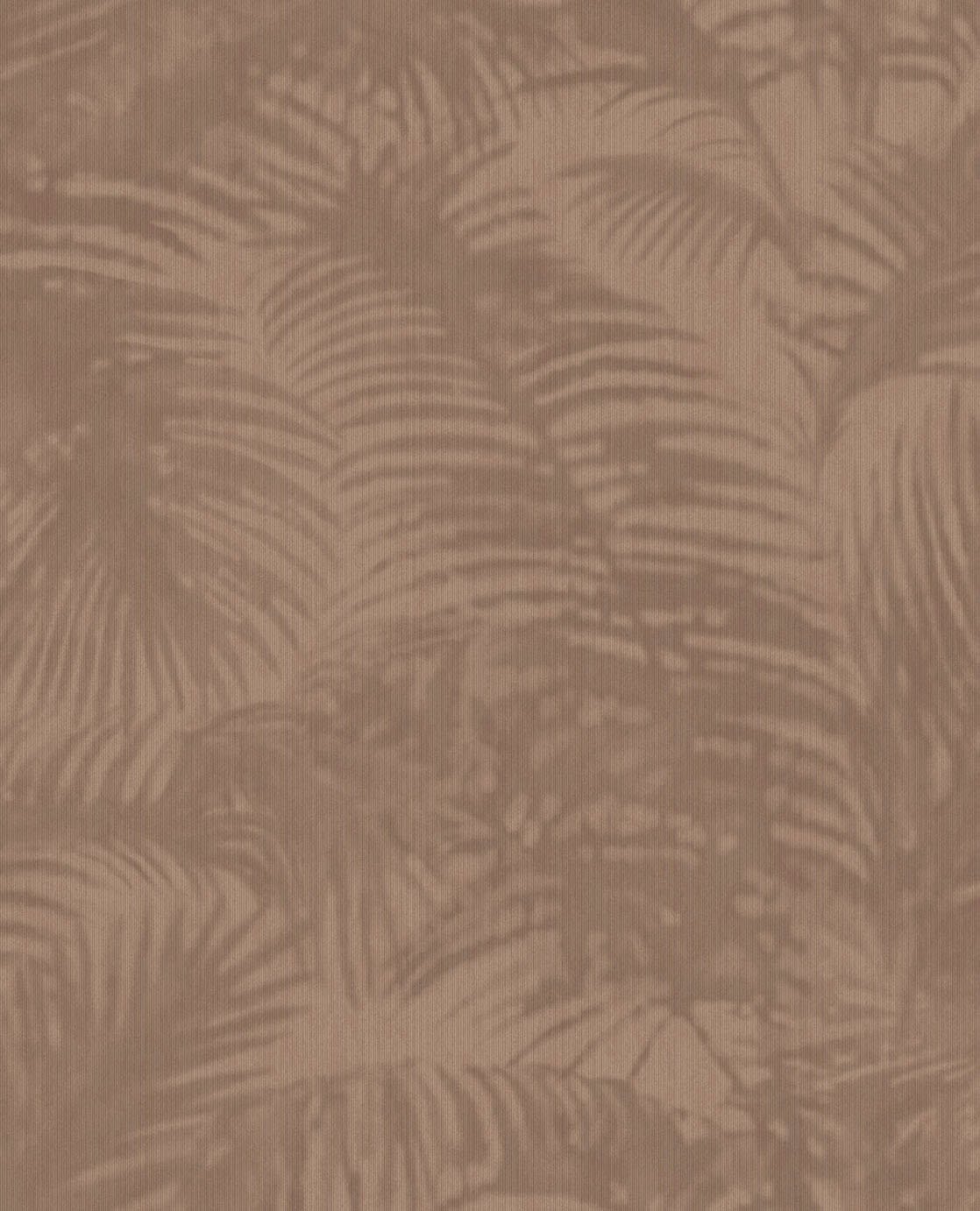 Image de 