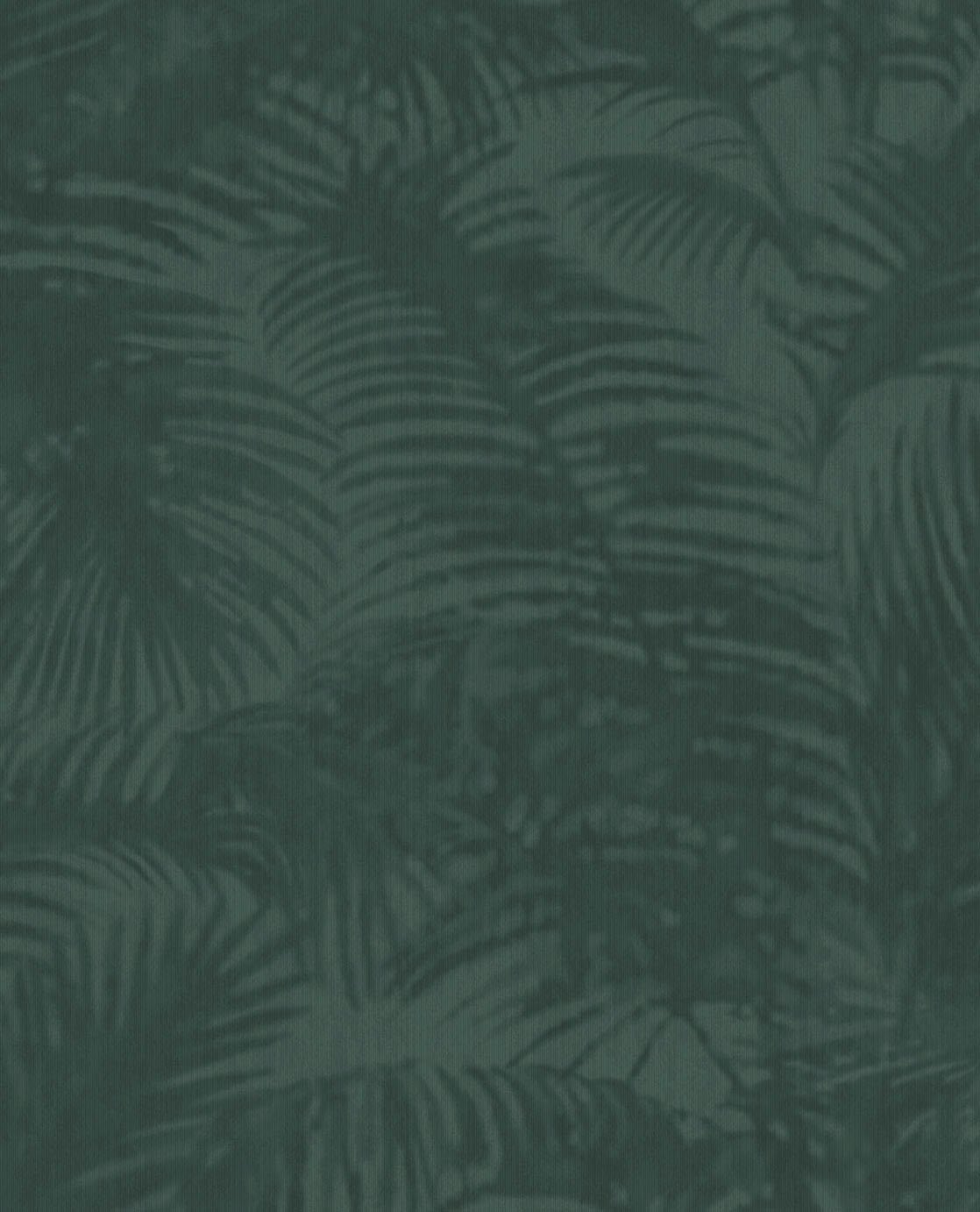 Image de 