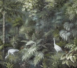 Image of 