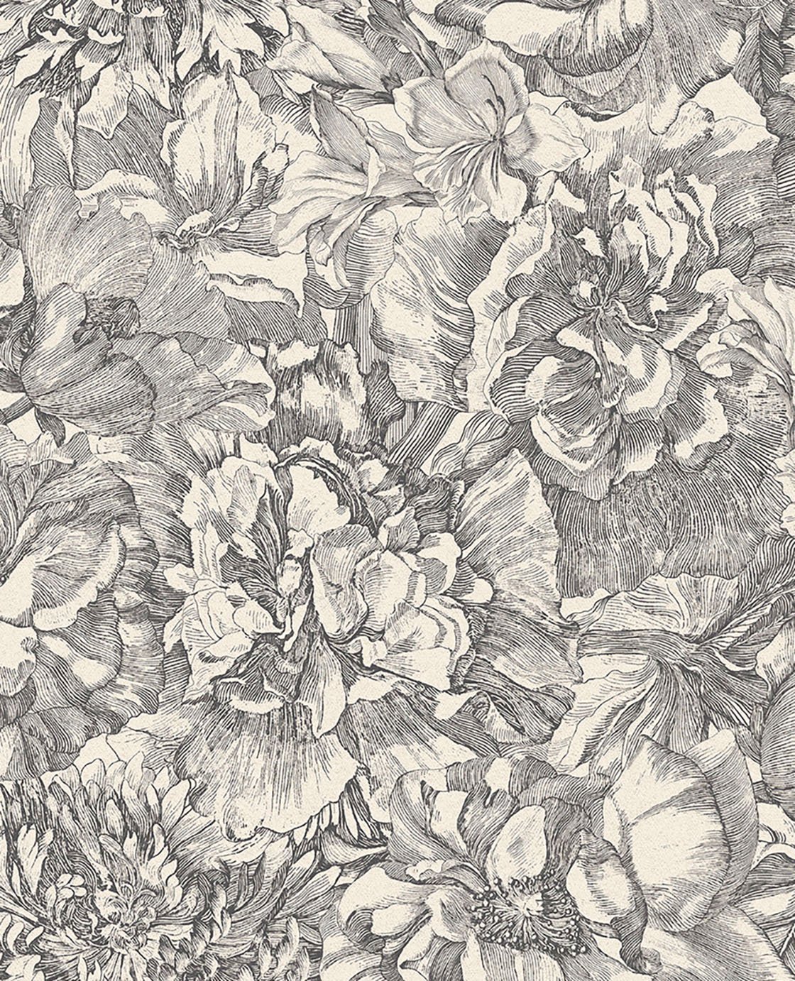 Image of 