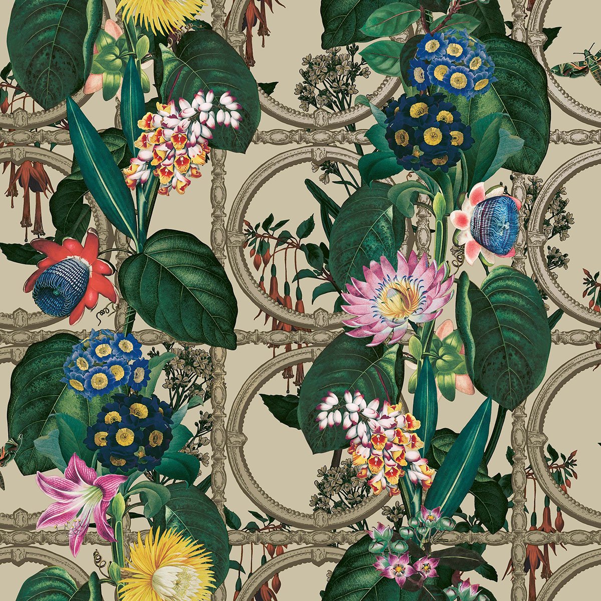 Image of 