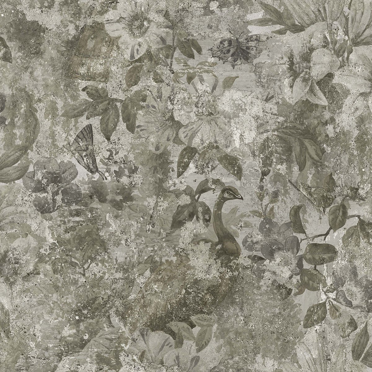 Image of 