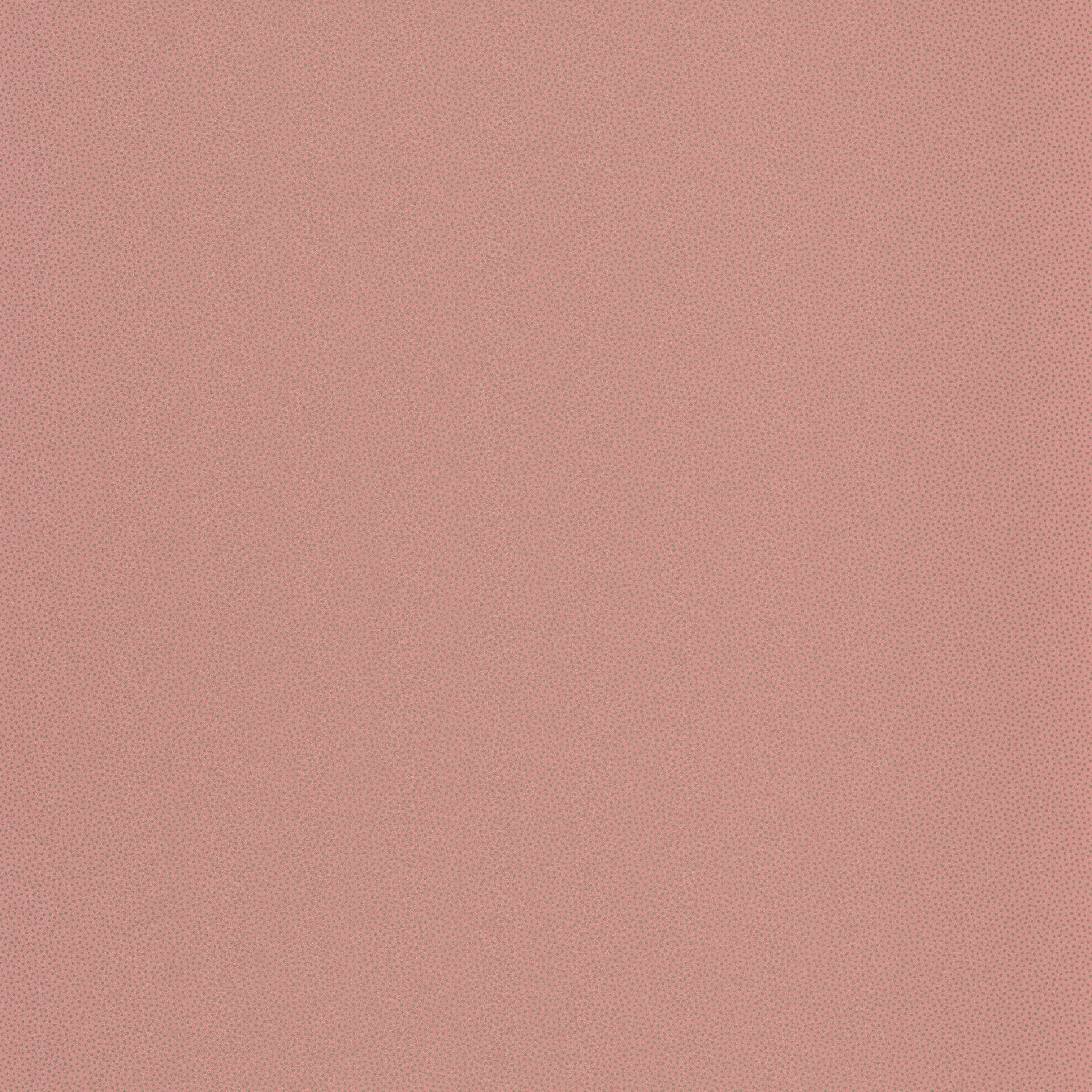Image de 