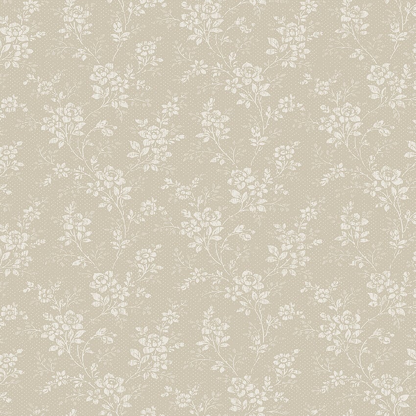 Image de 