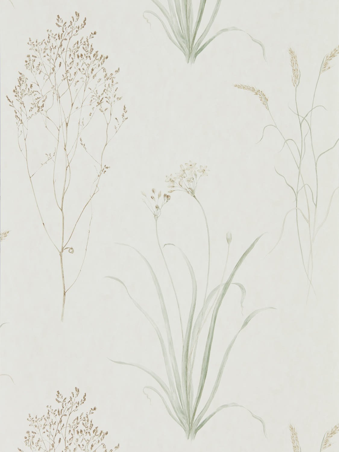 Image de 