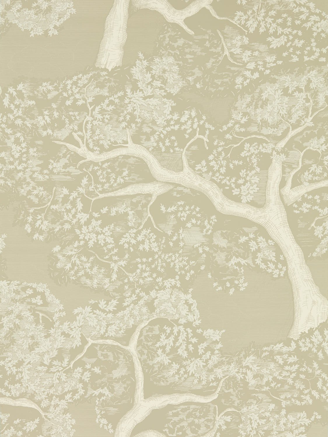 Image de 