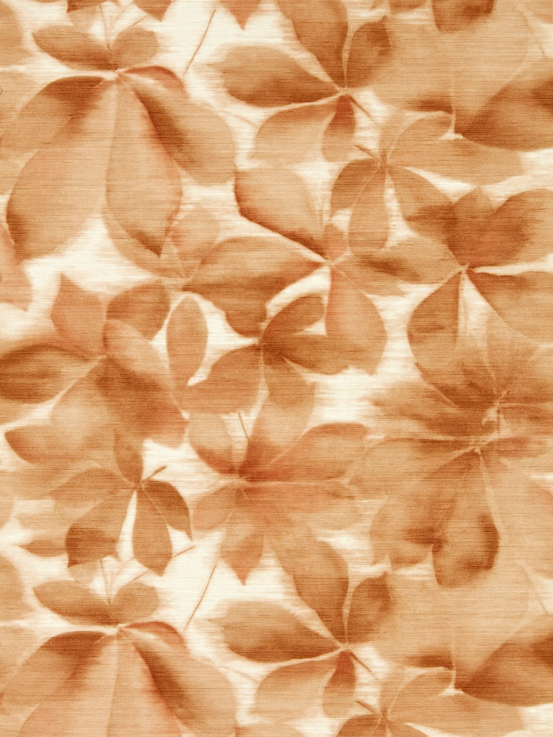 Image de 