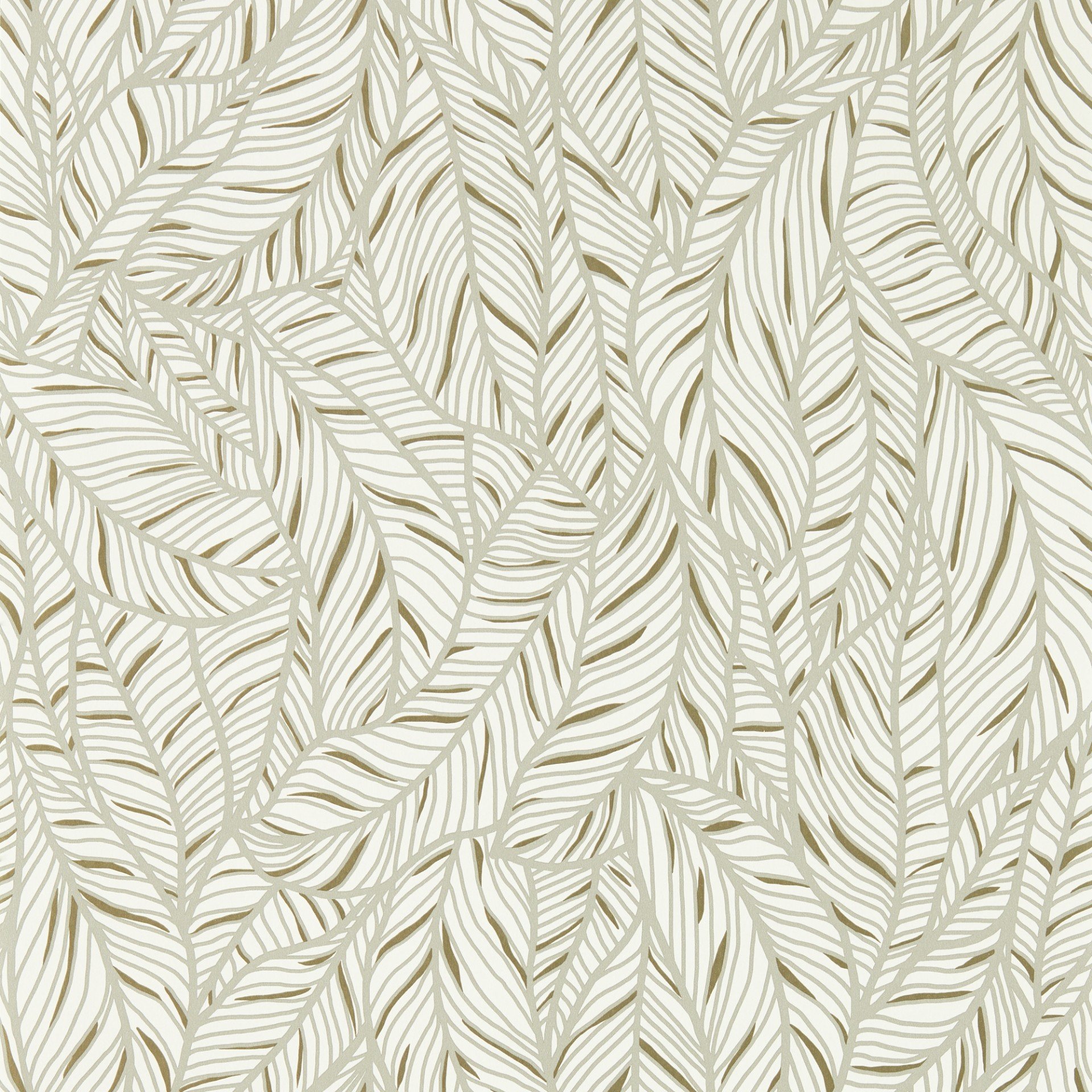 Image of 