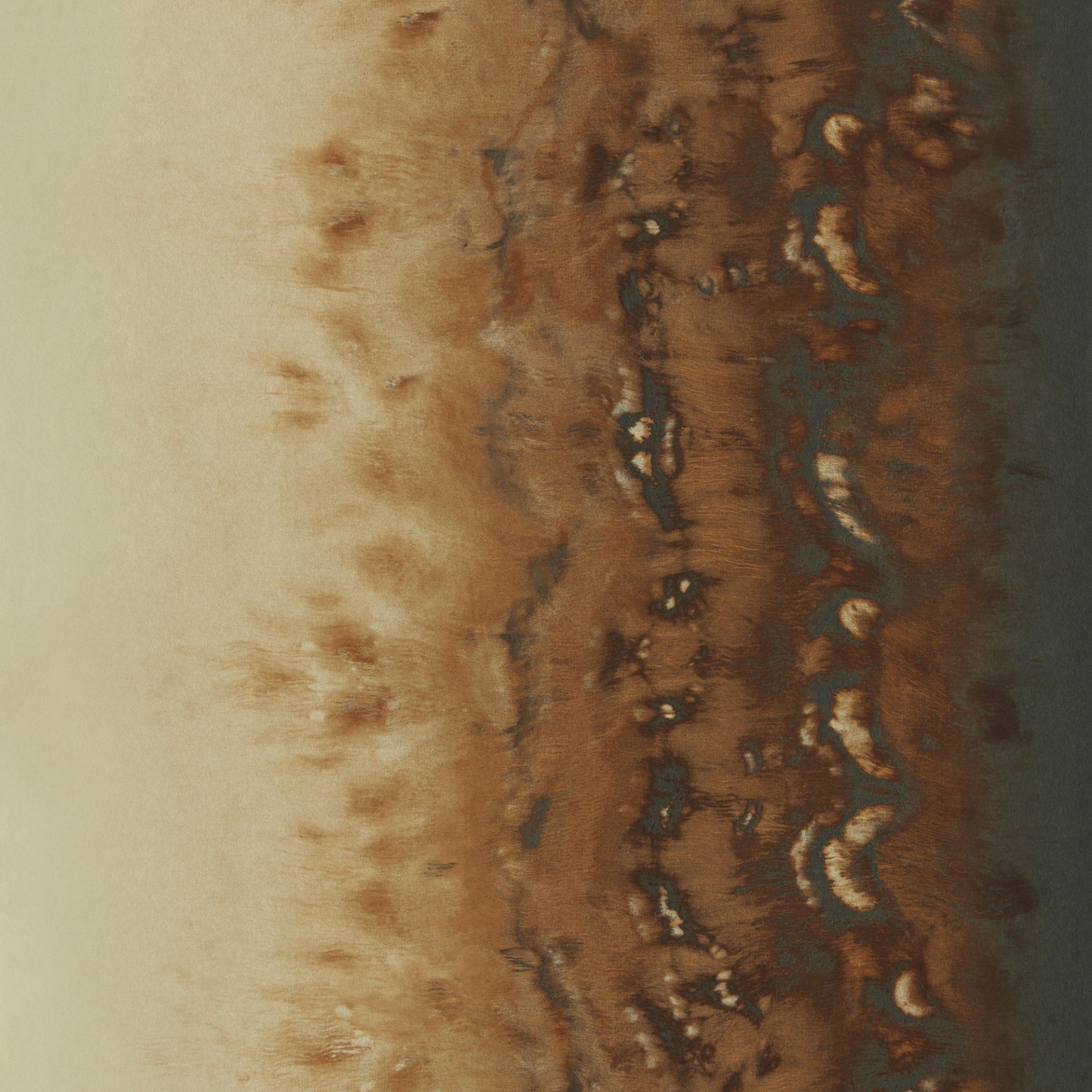Image of 
