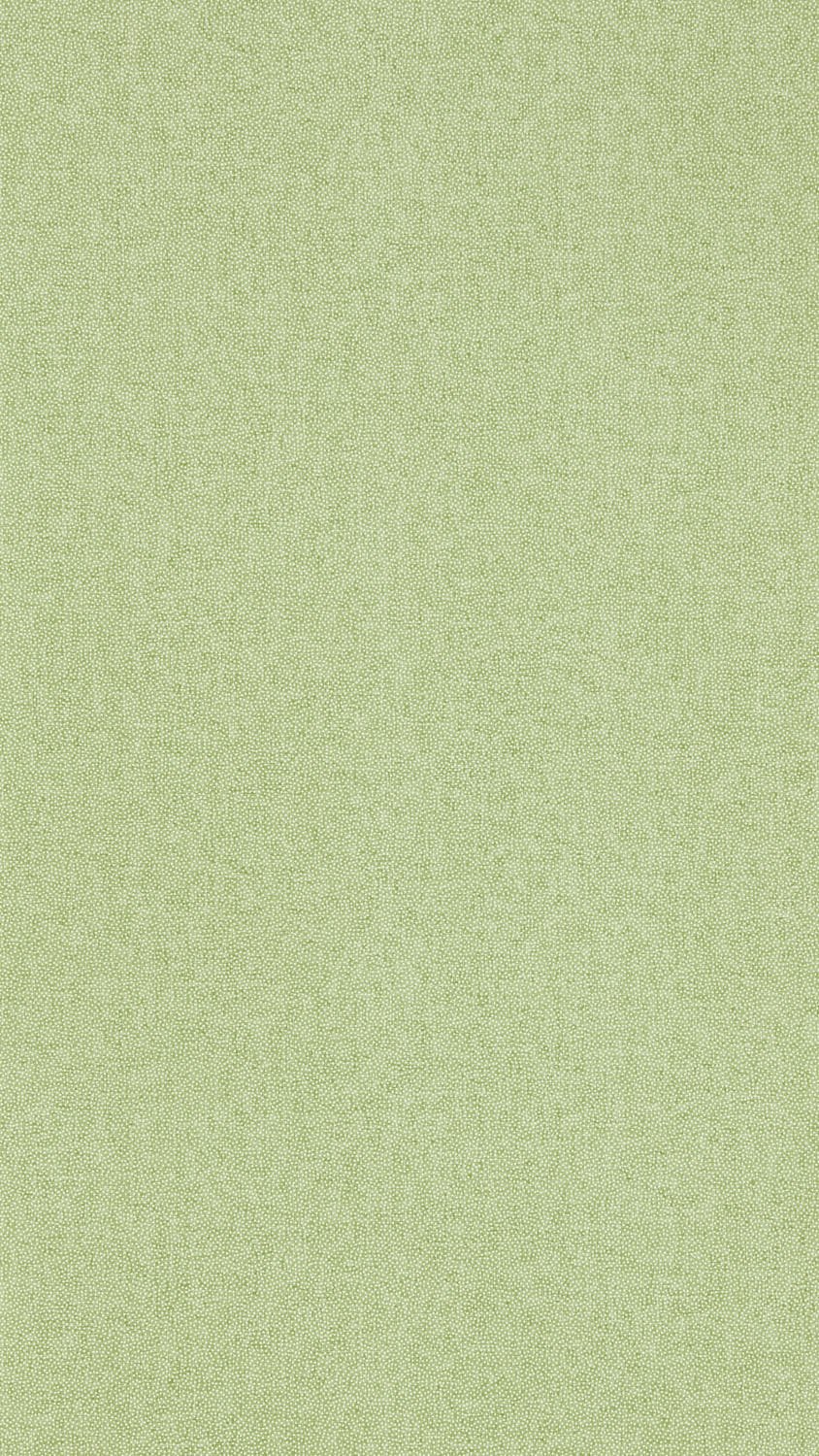 Image of 